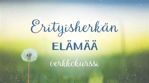 erityisherkk mies|Erityisherkän elämää